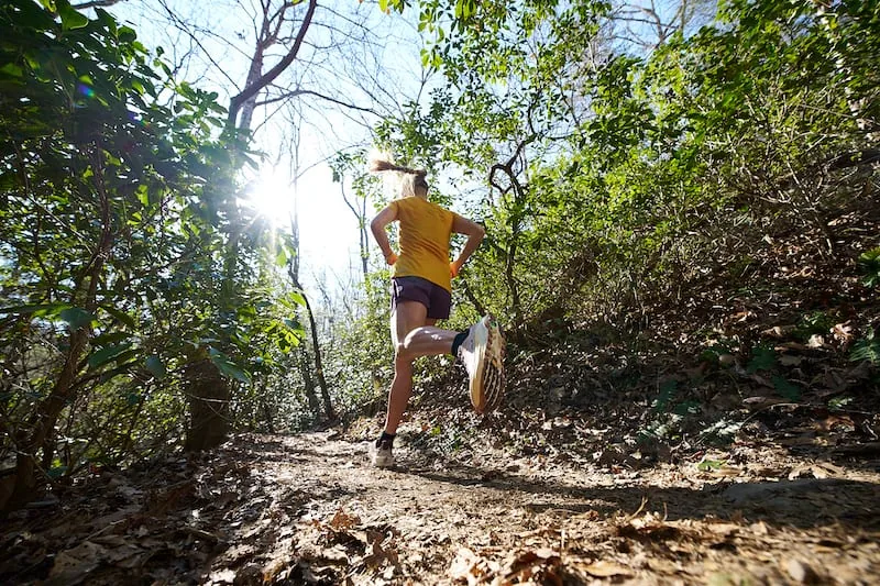 Runner moving along a sunlit forest trail